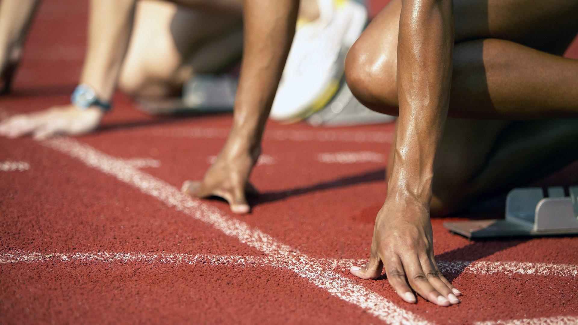 佛罗伦萨主帅帕拉迪诺意外请辞 俱乐部紧急接洽阿奎拉尼与吉拉迪诺